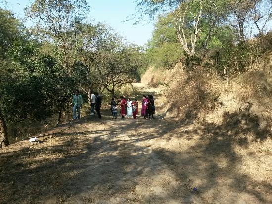 Nepli Reserve Forest